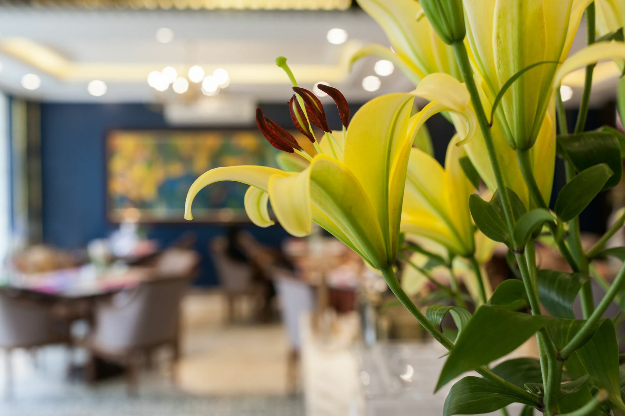 Eden Boutique Hotel & Spa Sa Pa Kültér fotó